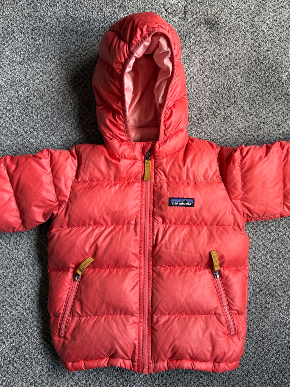 Patagonia Kids Coral Hooded Puffer Jacket
